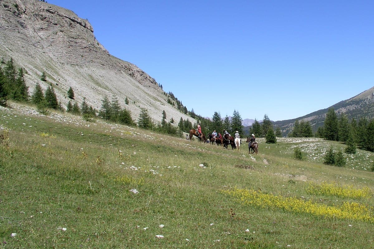High Country Horse Adventures