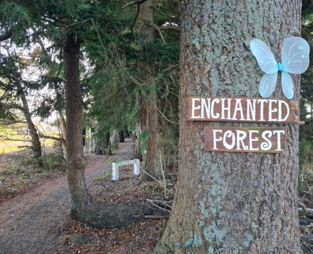 Methven Walkway & Enchanted Forest