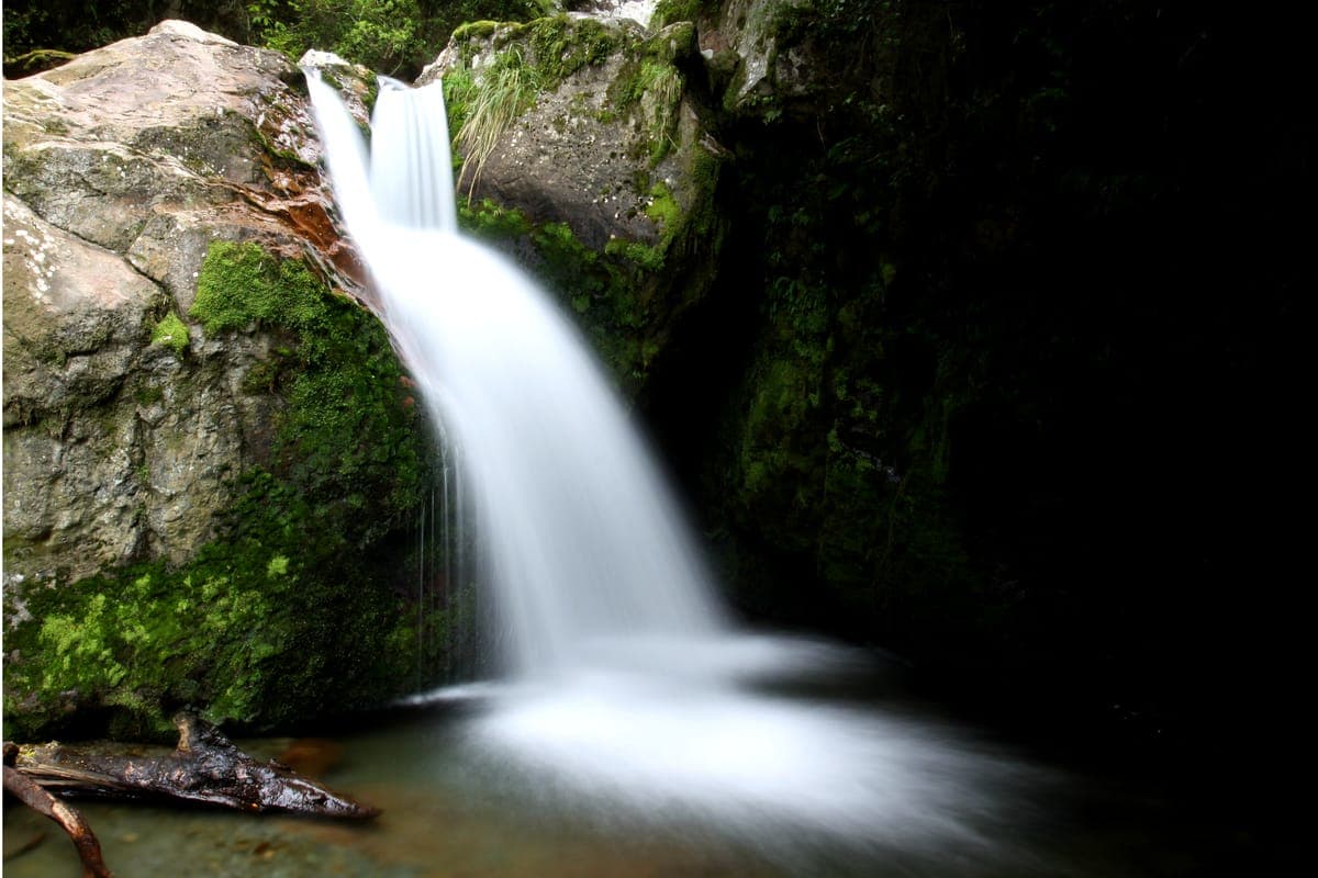 Sharplin Falls Track (Tāhekerua)